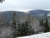 etwas weiße Weihnacht im Schwarzwald