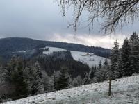 etwas weiße Weihnacht im Schwarzwald