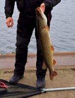 großer Fischfang