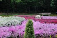 im Heidegarten