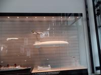 im Museum