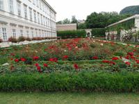im Rosengarten