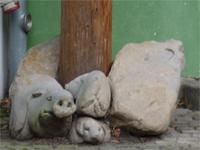 kleine Schweinchen