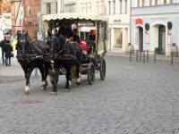 mit der Pferdekutsche durch Weimar