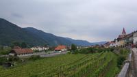 Wachau