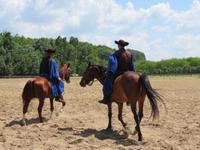 Ausflug Puszta - Besuch im Gestüt