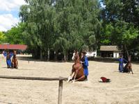 Ausflug Puszta - Besuch im Gestüt