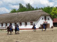 Ausflug Puszta - Besuch im Gestüt