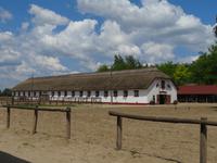 Ausflug Puszta - Besuch im Gestüt