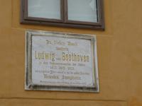 Ausflug Wiener Wald - Baden