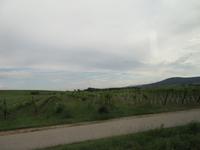 Ausflug Wiener Wald -