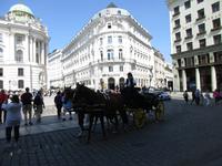 190 Stadtrundgang Wien