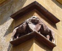 zwei Löwen mit einem Gesicht