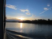 Morgens am Donauknie