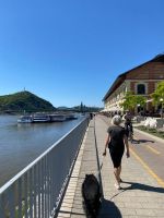 Promenade in Budapest