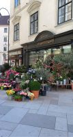Blumenladen am Stephansplatz