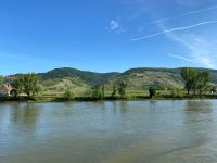 Weinberge Dürnstein