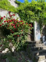 romantisches Dürnstein