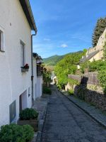 alle Gassen führen zur Donau