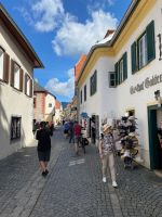 viele Geschäfte in Dürnstein