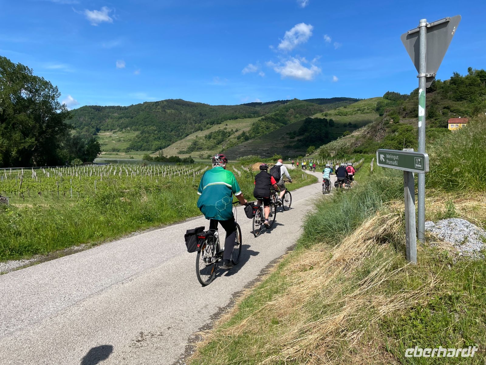 Fahrradtour entlang der Weinberge durch die Wachau
