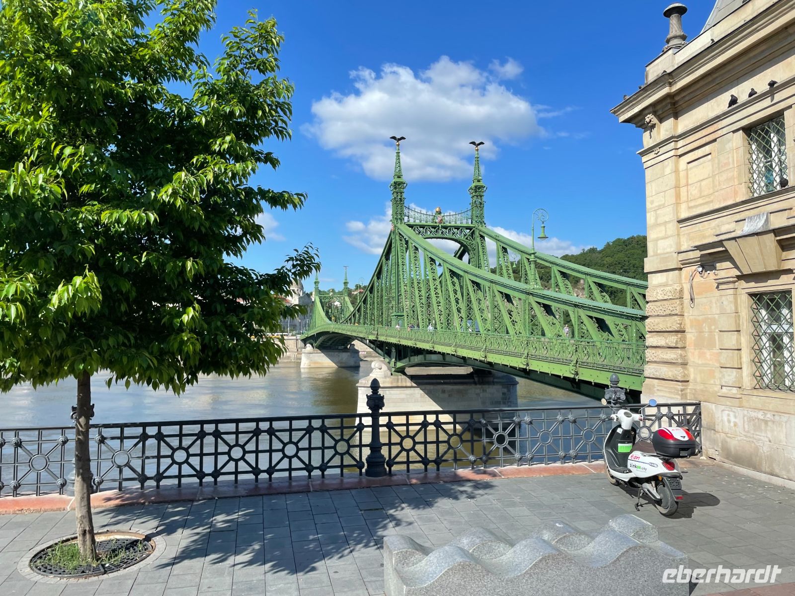 Die Freiheitsbrücke, eine der neun Straßenbrücken von Budapest
