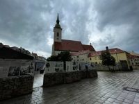 Unsere Altstadtbesichtigung startete am Martinsdom aus dem 13. Jahrhundert