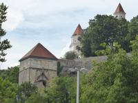 2. Blick zur Burg von Bratislava P1070085