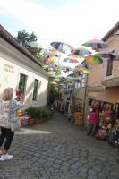 Künstlerstädtchen Szentendre