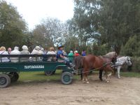 DSCN8021.JPG   auf zur Kutschfahrt