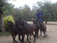 DSCN8032.JPG    ungarische Post