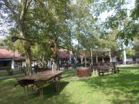 DSCN8058.JPG   Tanjacsarda