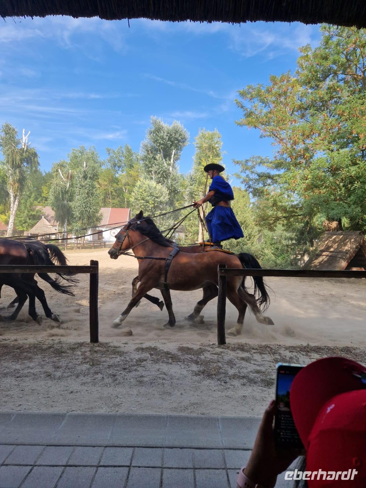 Ausflug in die Puszta 1.jpg