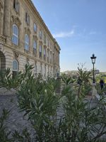 Burgpalast Budapest 2