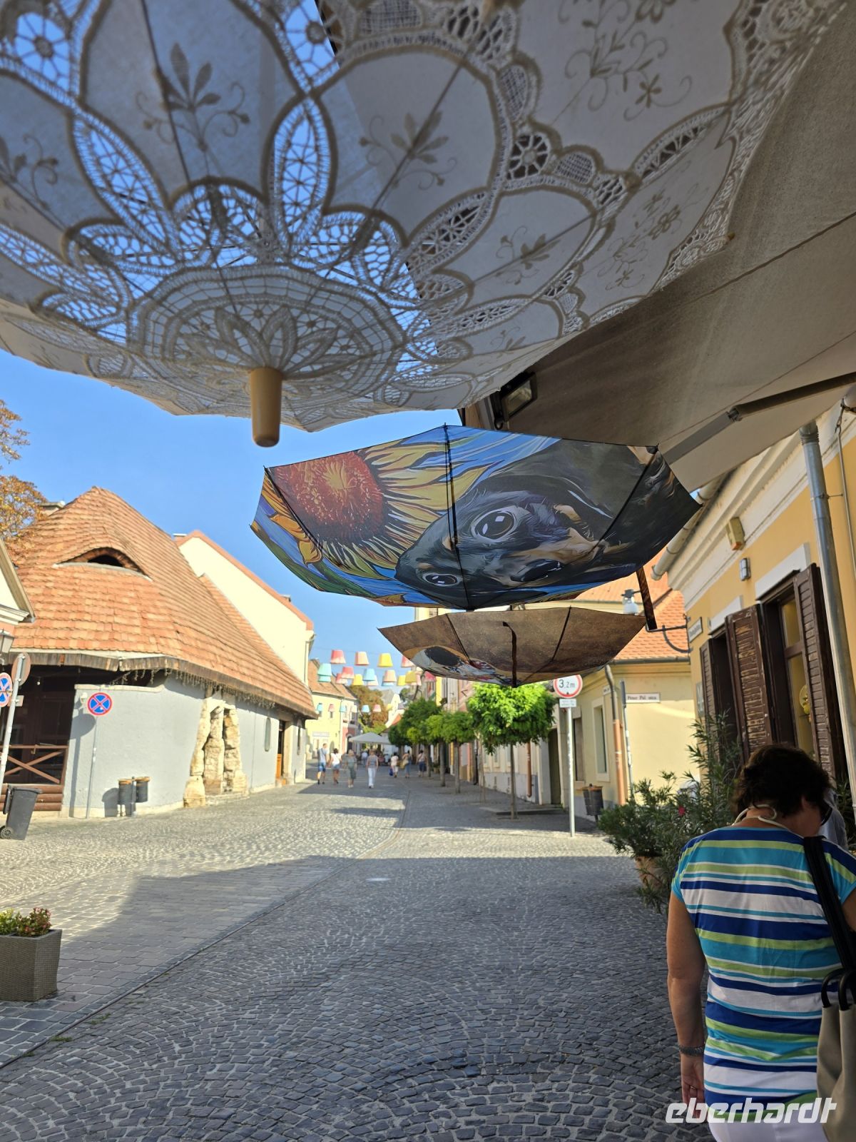 Künstlerstädtchen Szentendre 6