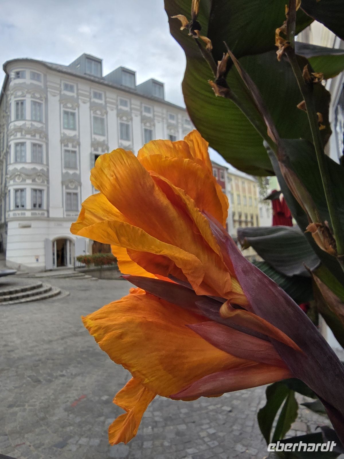 Brucknerstadt Linz 6