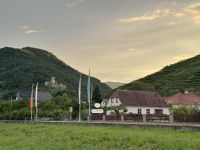 5. Tag – Abendstimmung in Spitz