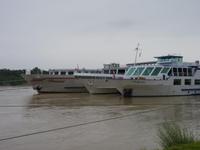 Am Anleger in Wien-Nussdorf