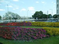 Impressionen von Budapest (5)