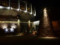 zur Lichterfahrt in Budapest (8)