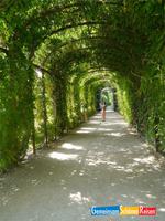 im Park vom Schloss SchÃ¶nbrunn
