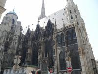 Stephansdom in Wien (3)