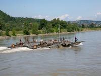 Übung auf der Donau