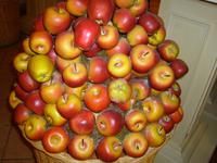 die wichtigste Zutat für den Strudel