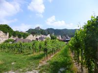 Blick auf die Weinterrassen und die Kuenringerburg, Dürnstein