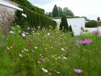 Blick zum Stiftsgarten