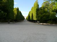 Schlosspark in Schönbrunn