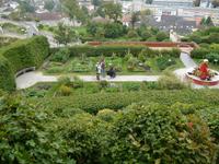 im Garten vom Stift Melk