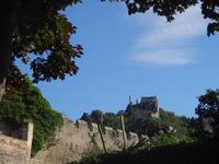Burgruine Dürnstein