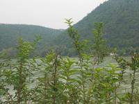 Ausflug nach Dürnstein